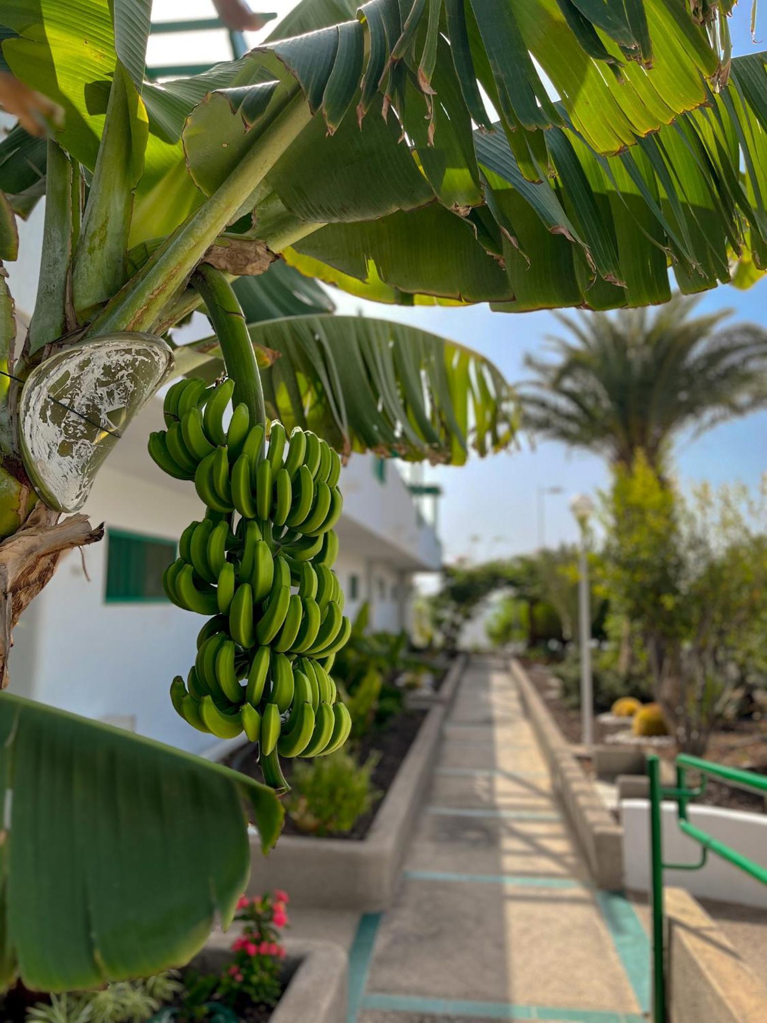 Beautiful Apartment Aguycan Beach 120 Playa Del Aguila Maspalomas  Buitenkant foto